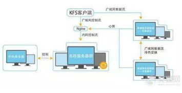 开始云柏春林 创业一次坚持十年